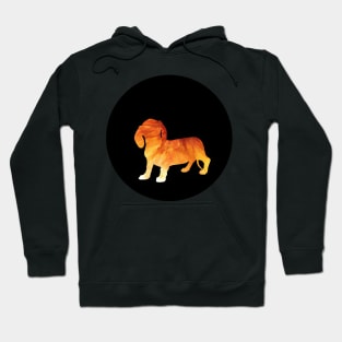 Dachshund - Fiery Orange Silhouette Hoodie